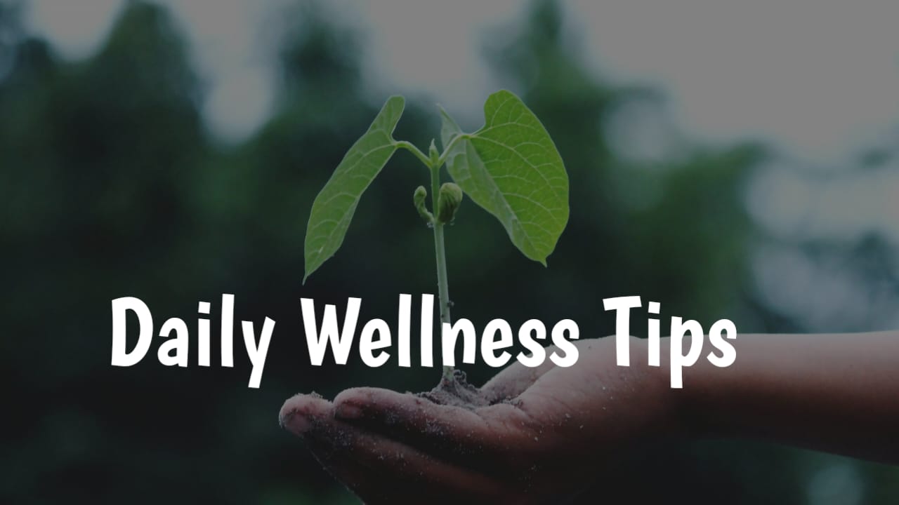 Daily Wellness Tips for US Professionals