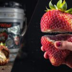 difference between freeze drying and dehydrating