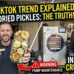 Freeze Dried Pickles