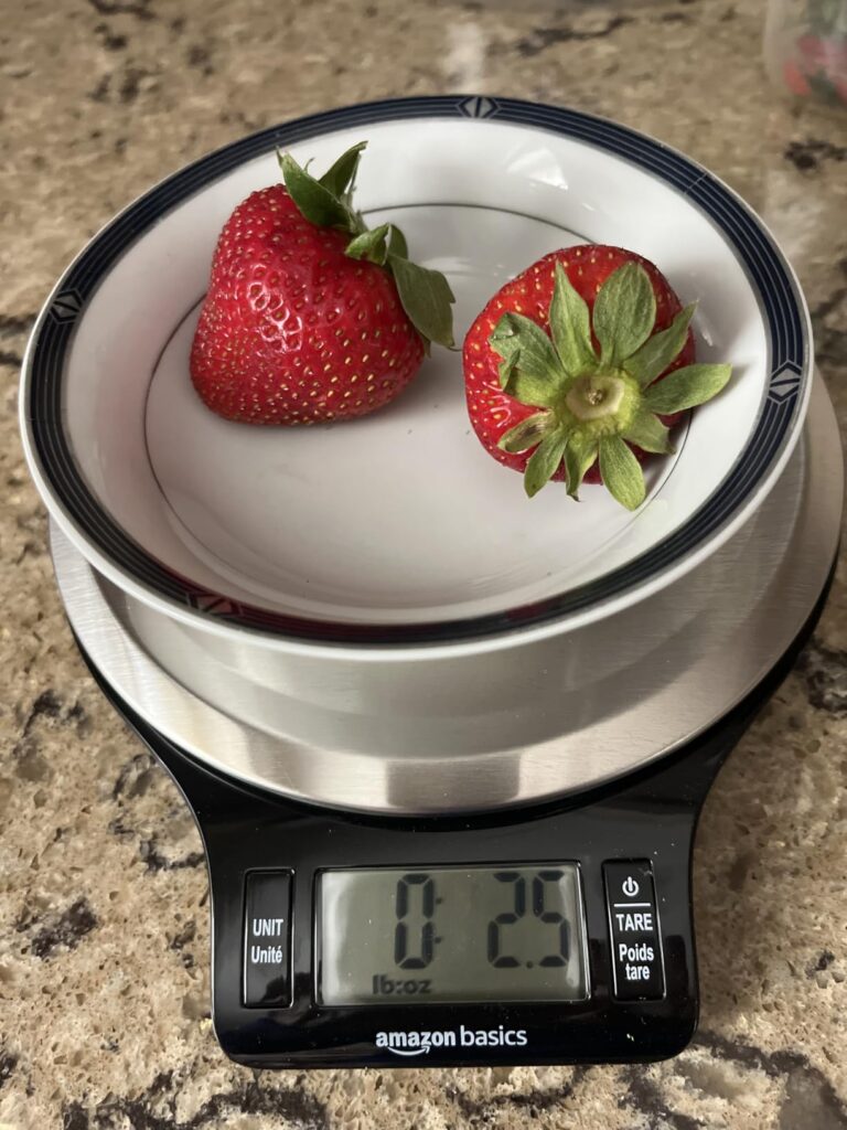 Precision Digital Kitchen Scale