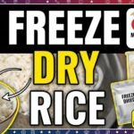 Can You Freeze-Dry Cooked Rice